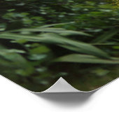 Naturen Beauty Poster (Hoek)