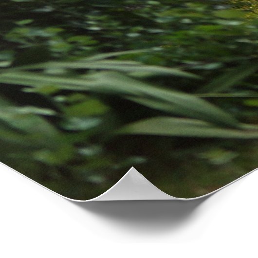 Naturen Beauty Poster (Hoek)