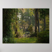 Naturen Beauty Poster (Voorkant)