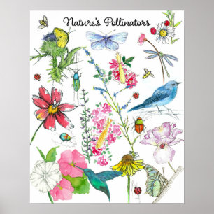 Naturen bestuivers Honingbijvogels Insecten Bloeme Poster