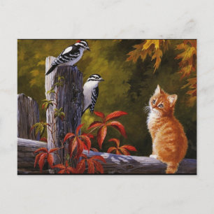 Naturen Dieren Briefkaart