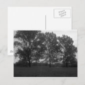 Naturen drievoudig groeien met de wind briefkaart (Voorkant / Achterkant)