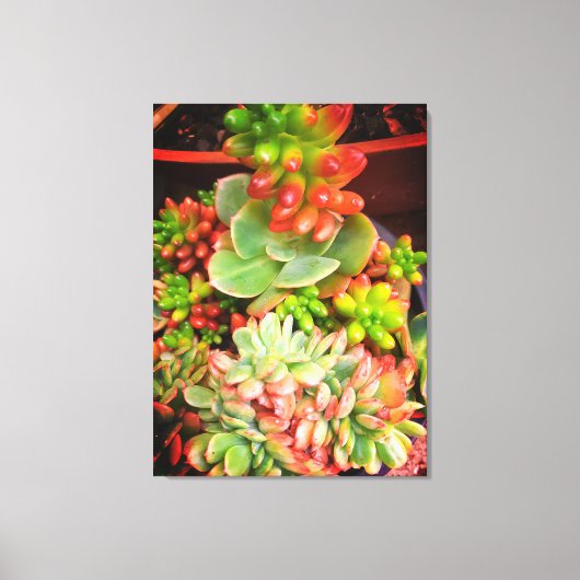 Naturen geschenken, uitgerekt canvas (Voorkant)