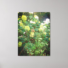 Naturen geschenken, uitgerekt canvas