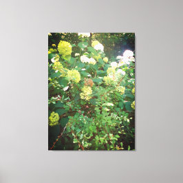 Naturen geschenken, uitgerekt canvas