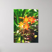 Naturen geschenken, uitgerekt canvas (Voorkant)