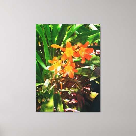 Naturen geschenken, uitgerekt canvas (Voorkant)