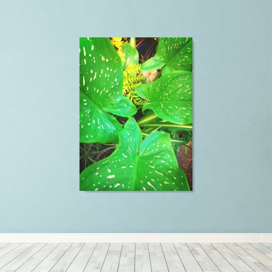 Naturen geschenken, uitgerekt canvas (Insitu (Houten vloer))