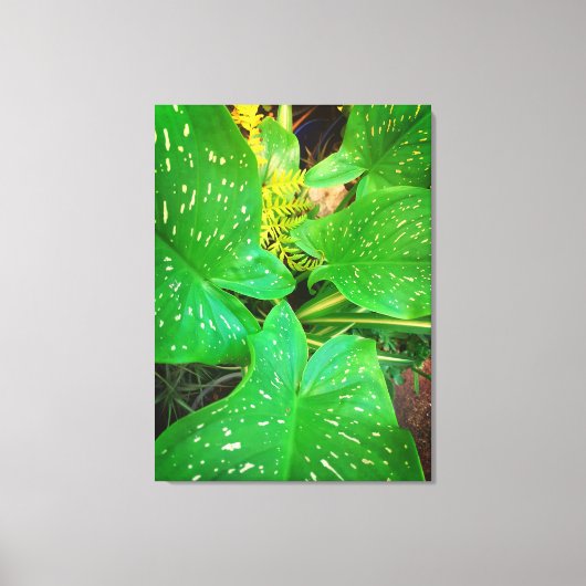 Naturen geschenken, uitgerekt canvas (Voorkant)