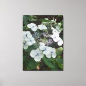 Naturen geschenken, uitgerekt canvas (Voorkant)