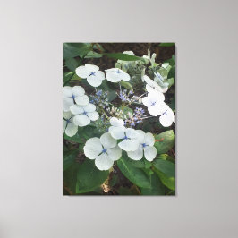 Naturen geschenken, uitgerekt canvas