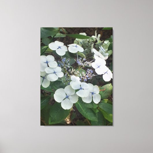 Naturen geschenken, uitgerekt canvas (Voorkant)