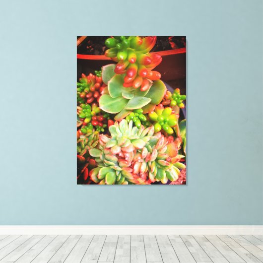 Naturen geschenken, uitgerekt canvas afdruk (Insitu (Houten vloer))