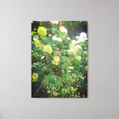 Naturen geschenken, uitgerekt canvas afdruk (Voorkant)