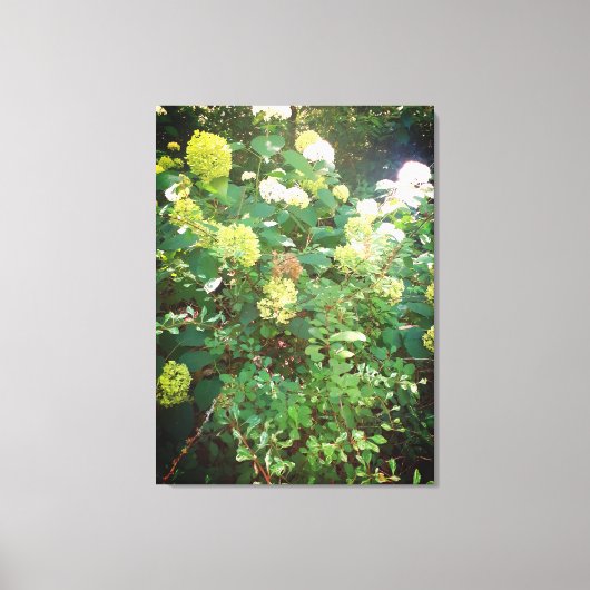 Naturen geschenken, uitgerekt canvas afdruk (Voorkant)