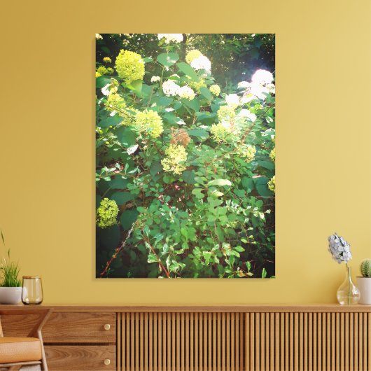 Naturen geschenken, uitgerekt canvas afdruk (Insitu (Woonkamer))