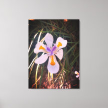 Naturen geschenken, uitgerekt canvas