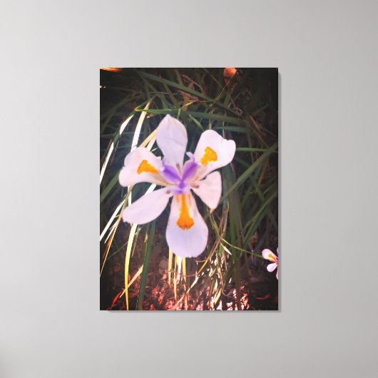 Naturen geschenken, uitgerekt canvas afdruk (Voorkant)