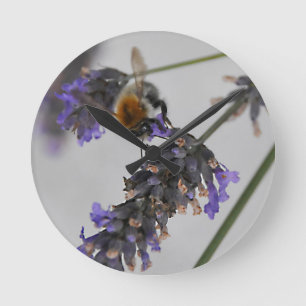 Naturen Geweldige werknemers Ronde Klok