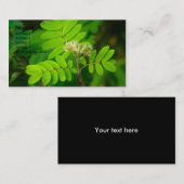 Naturen Glory | Visitekaartje (Voorkant / Achterkant)