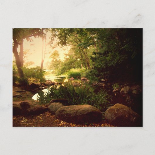 Naturen Hideaway Briefkaart (Voorkant)