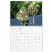 Naturen in Cheyenne, Wyoming Kalender (Feb 2027)