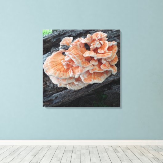 Naturen Kip van de bossen Eetbare paddenstoel Canvas Afdruk (Insitu (Houten vloer))