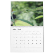 Naturen Kleine creaties Macro Fotografie Kalender (Mar 2026)