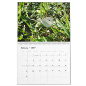 Naturen Kleine creaties Macro Fotografie Kalender (Feb 2027)
