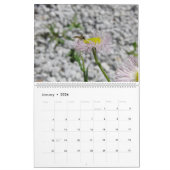 Naturen Kleine creaties Macro Fotografie Kalender (Jan 2026)
