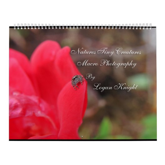 Naturen Kleine creaties Macro Fotografie Kalender (Hoes)