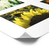 Naturen kleuren poster (Hoek)