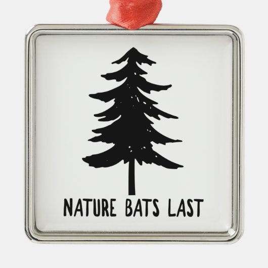 Naturen laatste metalen ornament (Voorkant)