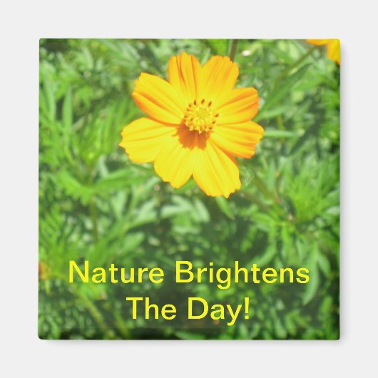 Naturen magneet (Voorkant)