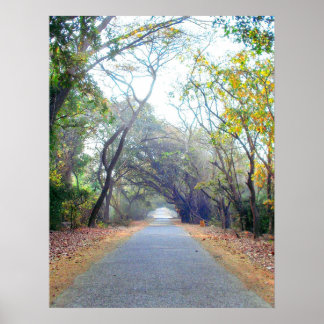 naturen pad poster