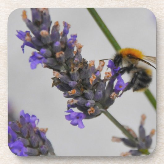 Naturen Prachtige werknemers Bier Onderzetter (Voorkant)