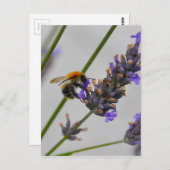 Naturen Prachtige werknemers Briefkaart (Voorkant / Achterkant)