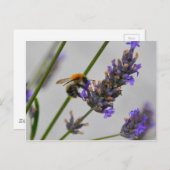 Naturen Prachtige werknemers Briefkaart (Voorkant / Achterkant)