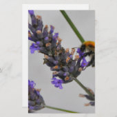 Naturen Prachtige werknemers Briefpapier (Voorkant / Achterkant)