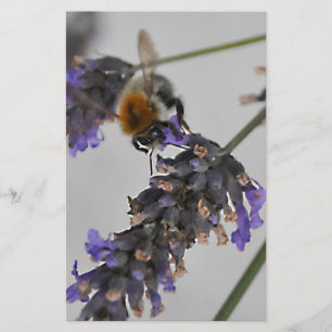 Naturen Prachtige werknemers Briefpapier