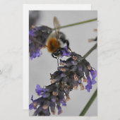 Naturen Prachtige werknemers Briefpapier (Voorkant / Achterkant)