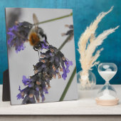 Naturen Prachtige werknemers Fotoplaat (Zijkant)