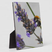 Naturen Prachtige werknemers Fotoplaat (Zijkant)