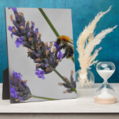 Naturen Prachtige werknemers Fotoplaat (Zijkant)