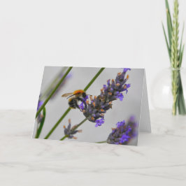 Naturen Prachtige werknemers Kaart