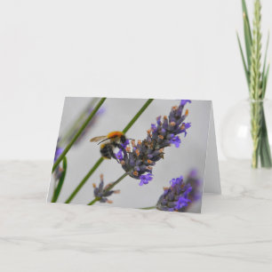 Naturen Prachtige werknemers Kaart