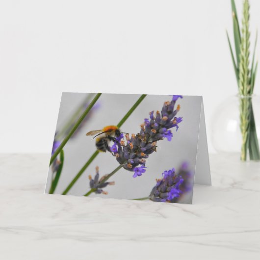 Naturen Prachtige werknemers Kaart (Voorkant)