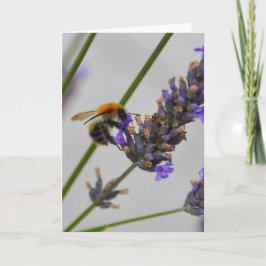 Naturen Prachtige werknemers Kaart