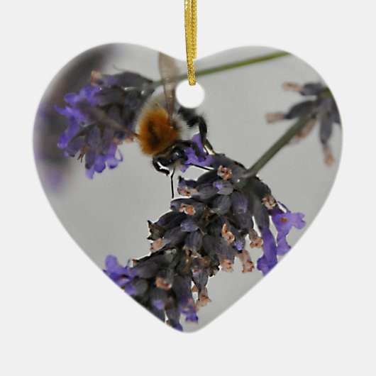 Naturen Prachtige werknemers Keramisch Ornament (Voorkant)