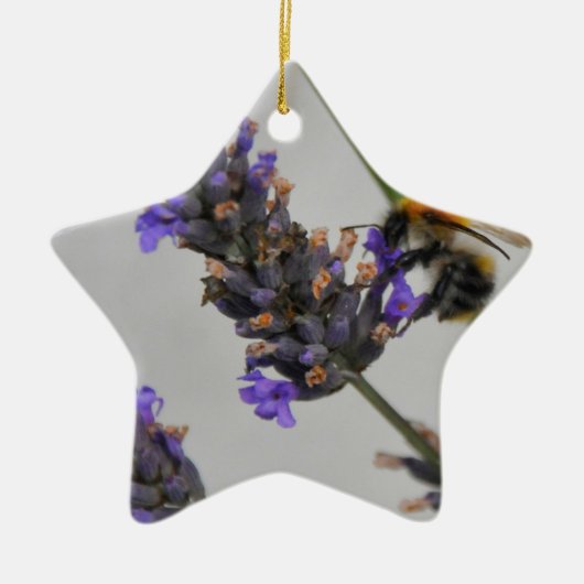 Naturen Prachtige werknemers Keramisch Ornament (Voorkant)